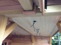 IMG 2228 IMG 2228